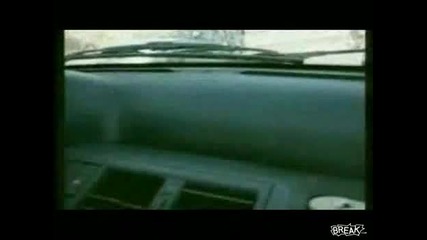 Кон скача върху кола 