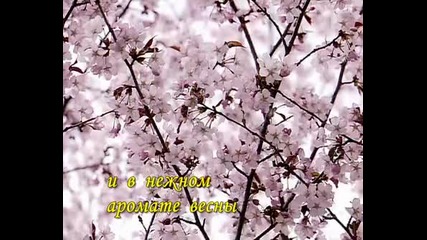 Откриете себе си