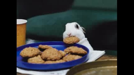 Смешни Картинки