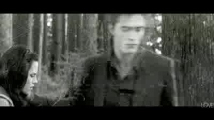 Edward Cullen Leaves - - New Moon