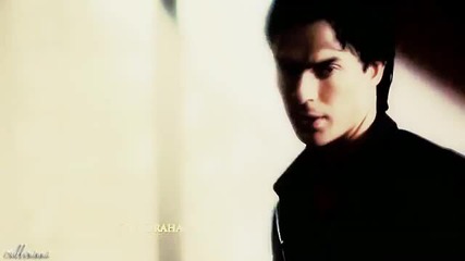Damon the vampire Gigolo [ H U M O R ]