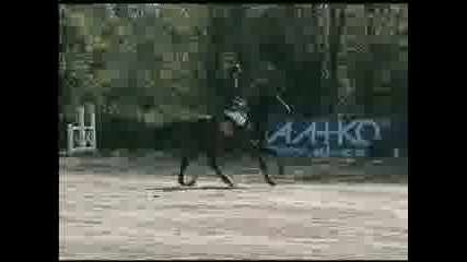 Ламби - Наден 2**