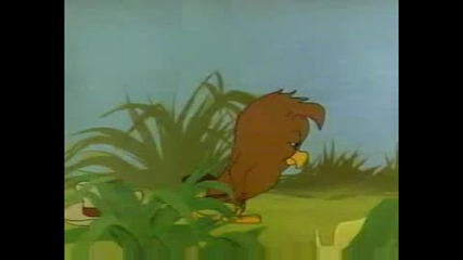 Foghorn Leghorn - (1951) - Leghorn Swoggled