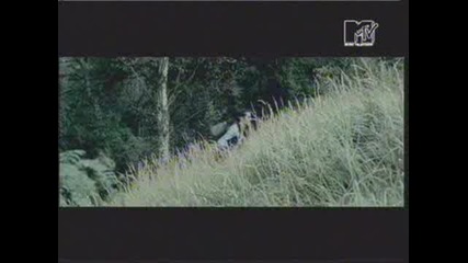 Faith No More - Stripsearch 