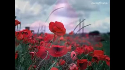 Omar Akram - Falling Through The Rain