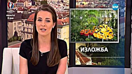 Изложба на живи екзотични пеперуди в Бургас