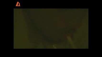 Кошмари (2004)