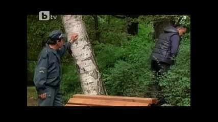 Опс, Гафче