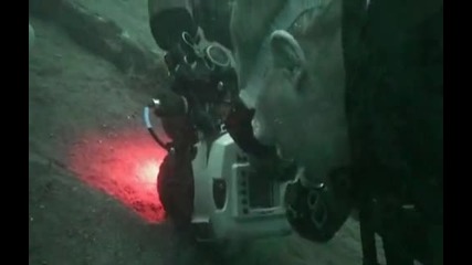 морски същества