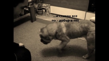 Как предприемачеството определя облика на средата около вас? - Jab Inc15; Мария Йорданова 12 клас