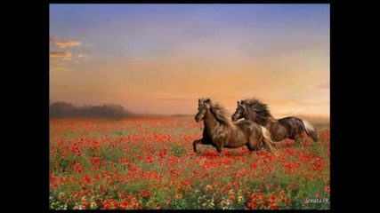 Omar Akram- Secret Journey