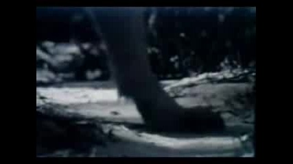 Ookami ryu - Wolf pact 