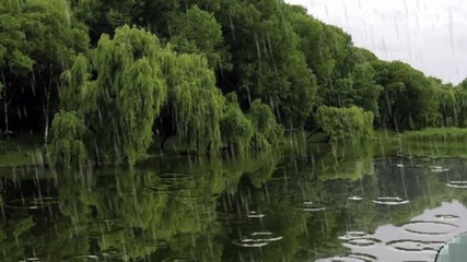 Тони Димитрова - За тебе хората говорят