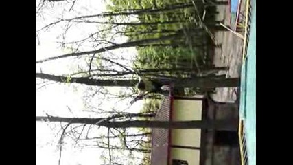 Коколандия - 5