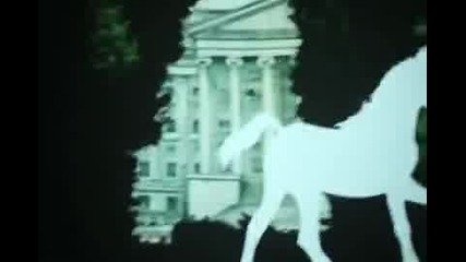 Miike Snow - Animal 2