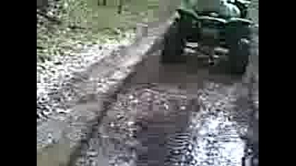 musagenica skixa