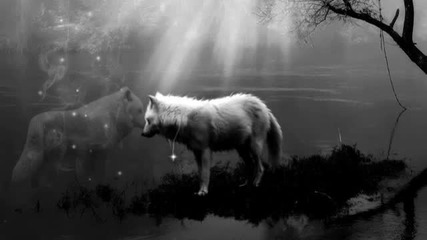 Yolwolf - Wolfog