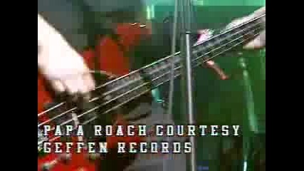 Papa Roach Scars Live