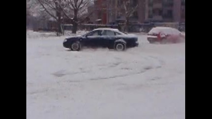 Понички зад зимния 