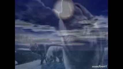 Enya - Shepherd Moons 