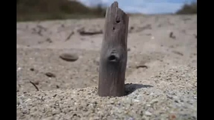 Замунда банана бенд - Лошо ми е...