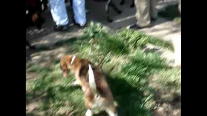 Mov00039