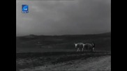 Земя ( 1957 ) по Елин Пелин - Целия Филм
