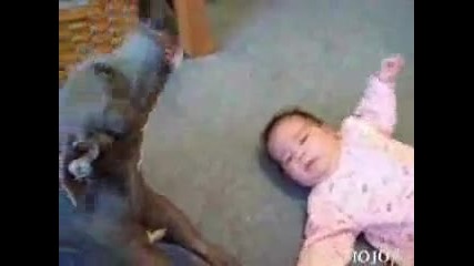 Плачещо бебе подлудява едно куче.смях