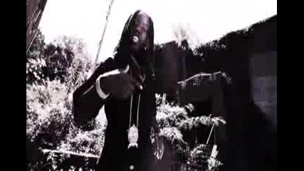 Ace Hood Feat. Ludacris - Born an O.g.