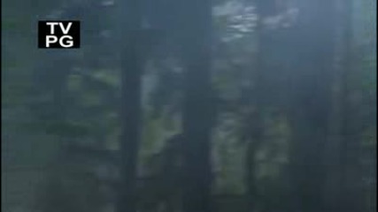 Bear Grylls - Ultimate Survival In Transylvania,  Romania part 2 of 5.flv