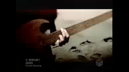 Does - End Of The World