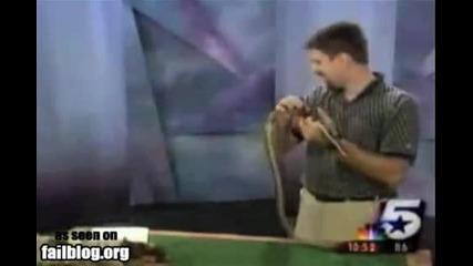 Courage Fail 