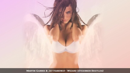 Martin Garrix & Jay Hardway - Wizard (steerner Bootleg)