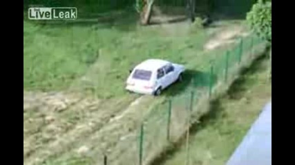 Как да разкараш кучето с колата...