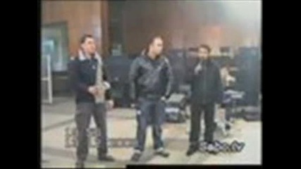 djamaika za varti kolana 2009