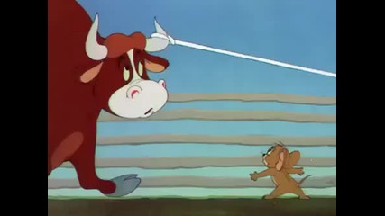 Tom and Jerry - Texas Tom [* H Q *]