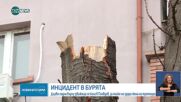 Дърво падна и смаза движещ се автомобил в Пловдив