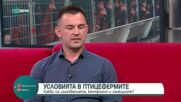 Скандал с птицеферма: Истина или манипулация