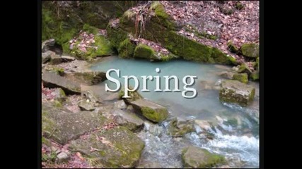 Four Seasons ~ Vivaldi