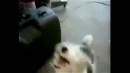 Къче слуша Death metal :d