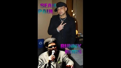 Sean Paul Ft. Bunny Rugs - Now That We Found Love
