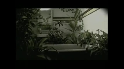 Lu - La vida despues de ti