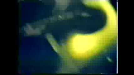 My Dying Bride The Songless Bird