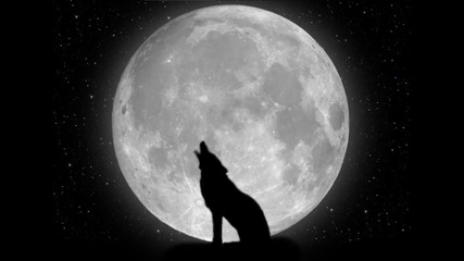 Cosmic Chants - Wolfs Blood ( Pentagram Cover)