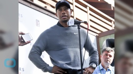 Arnold Palmer 'understands' Tiger's Woes