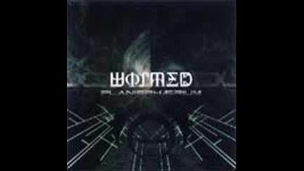 Ylem - Wormed 