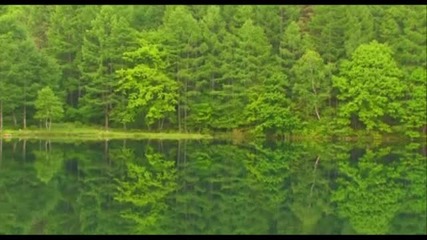 сезони (пролет и лято) в средата на май до края на юни