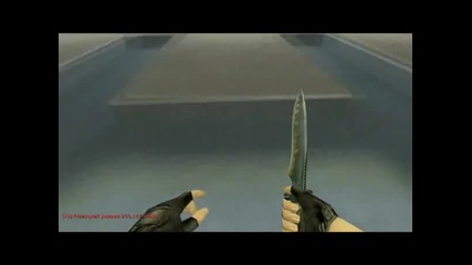 Freestyler 252 sw 