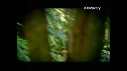 Беър Грилс: Бягство от Джунгла -еп 1