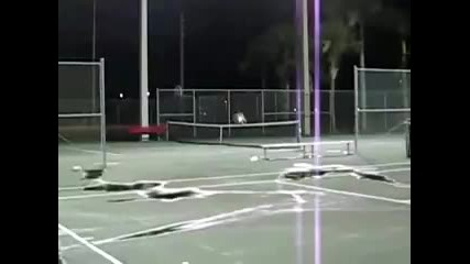 If you watch this 100 times youll still laugh 3